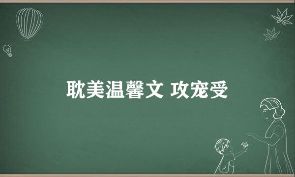 耽美温馨文 攻宠受