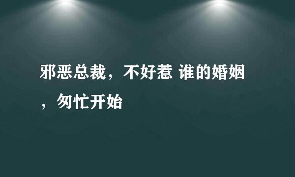 邪恶总裁，不好惹 谁的婚姻，匆忙开始