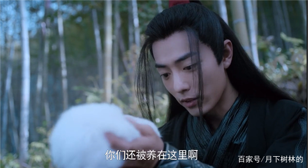 《陈情令》里面的兔子，其实还有隐藏含义，你看懂了吗？