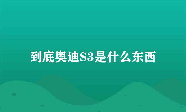 到底奥迪S3是什么东西