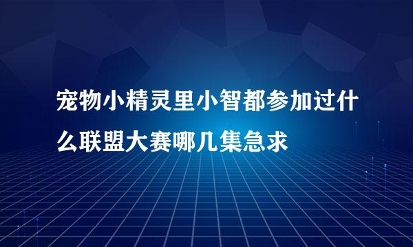 宠物小精灵里小智都参加过什么联盟大赛哪几集急求