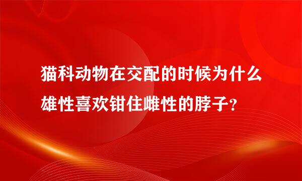 猫科动物在交配的时候为什么雄性喜欢钳住雌性的脖子？