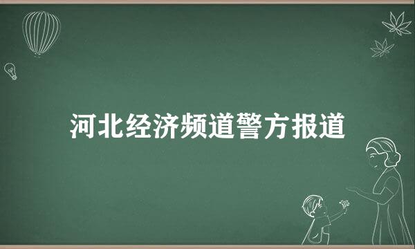 河北经济频道警方报道