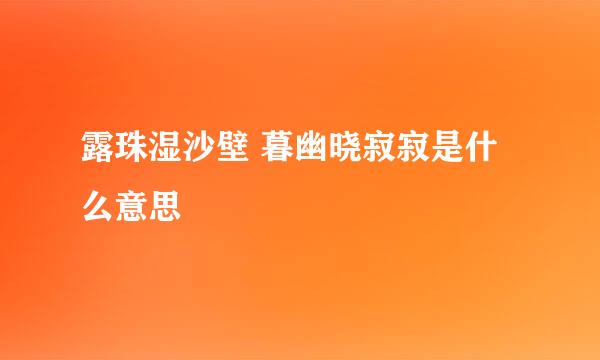 露珠湿沙壁 暮幽晓寂寂是什么意思