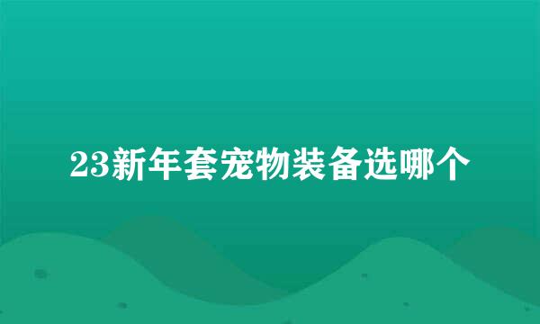 23新年套宠物装备选哪个