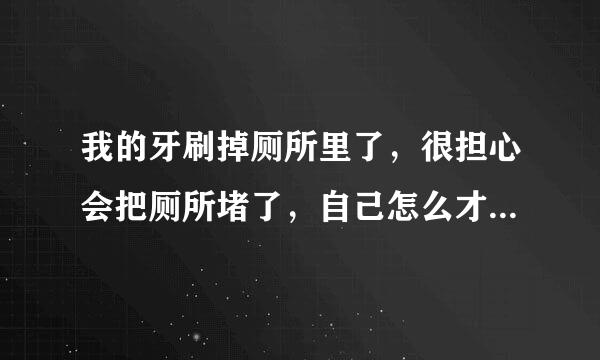 我的牙刷掉厕所里了，很担心会把厕所堵了，自己怎么才能把它弄出来呢？