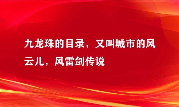 九龙珠的目录，又叫城市的风云儿，风雷剑传说