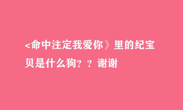 <命中注定我爱你》里的纪宝贝是什么狗？？谢谢