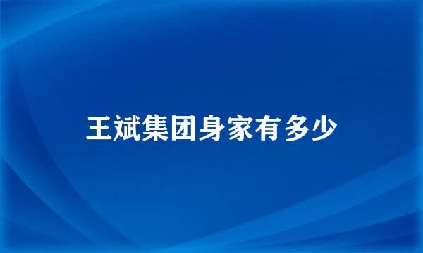 王斌集团身家有多少