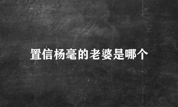 置信杨毫的老婆是哪个