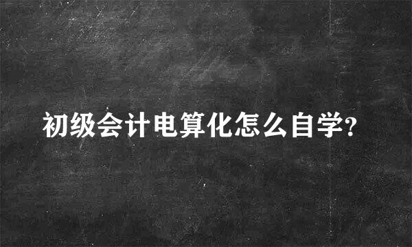 初级会计电算化怎么自学？