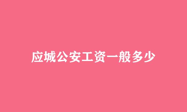 应城公安工资一般多少