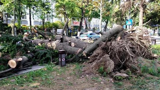 江苏遭受了14级大风，这样的强对流天气是怎样产生的？