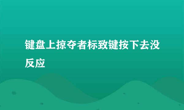 键盘上掠夺者标致键按下去没反应