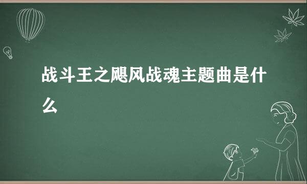 战斗王之飓风战魂主题曲是什么