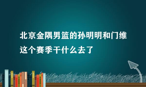 北京金隅男篮的孙明明和门维这个赛季干什么去了