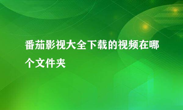 番茄影视大全下载的视频在哪个文件夹