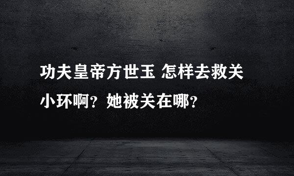 功夫皇帝方世玉 怎样去救关小环啊？她被关在哪？