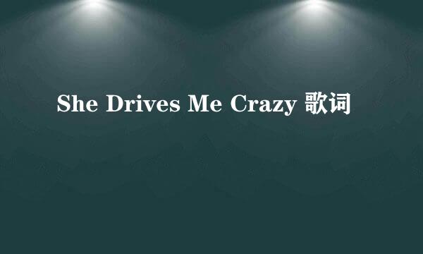 She Drives Me Crazy 歌词