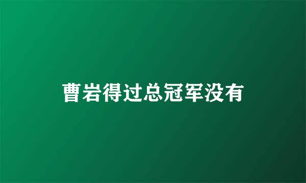 曹岩得过总冠军没有