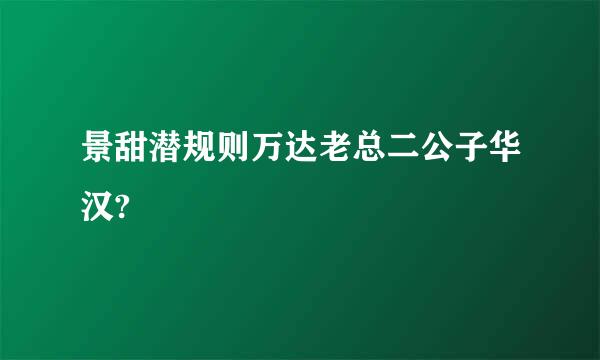 景甜潜规则万达老总二公子华汉?