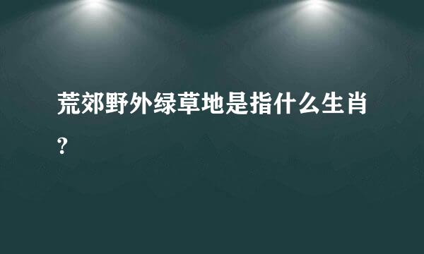 荒郊野外绿草地是指什么生肖?