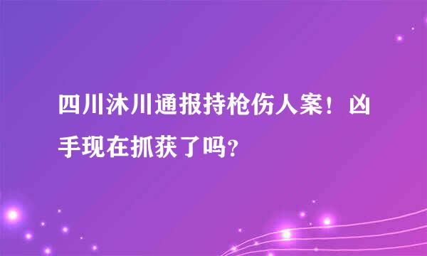 四川沐川通报持枪伤人案！凶手现在抓获了吗？