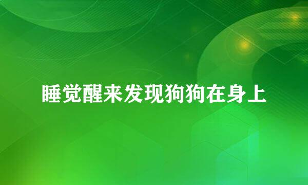 睡觉醒来发现狗狗在身上