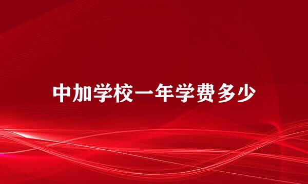 中加学校一年学费多少