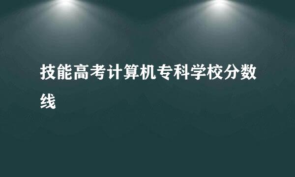 技能高考计算机专科学校分数线