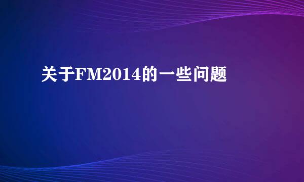 关于FM2014的一些问题