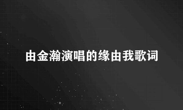 由金瀚演唱的缘由我歌词