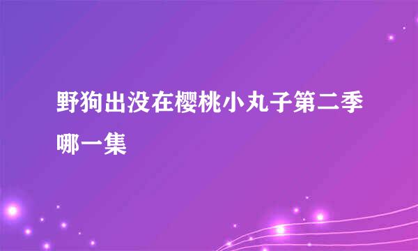 野狗出没在樱桃小丸子第二季哪一集