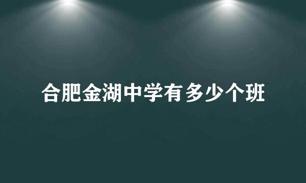 合肥金湖中学有多少个班