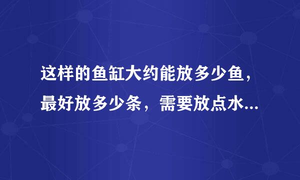 这样的鱼缸大约能放多少鱼，最好放多少条，需要放点水草吗?放什么水草好！！求养金鱼专家！！！