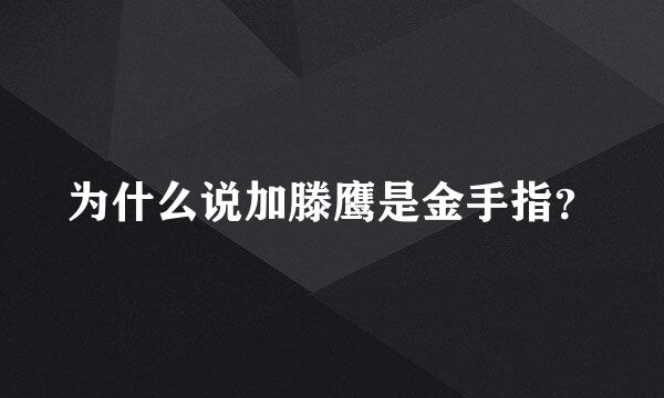 为什么说加滕鹰是金手指？