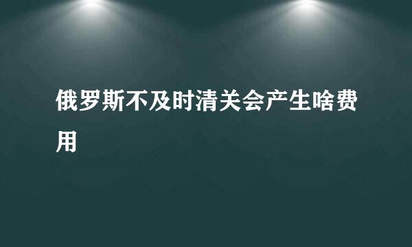 俄罗斯不及时清关会产生啥费用