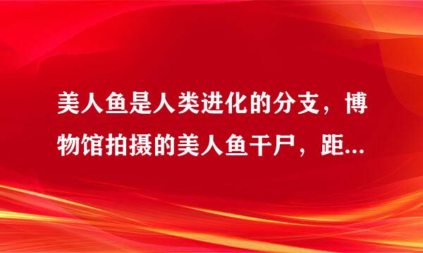 美人鱼是人类进化的分支，博物馆拍摄的美人鱼干尸，距近2000多年，是石灰掩埋形成的，大家怎么看？