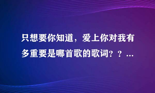 只想要你知道，爱上你对我有多重要是哪首歌的歌词？？求知道。。。