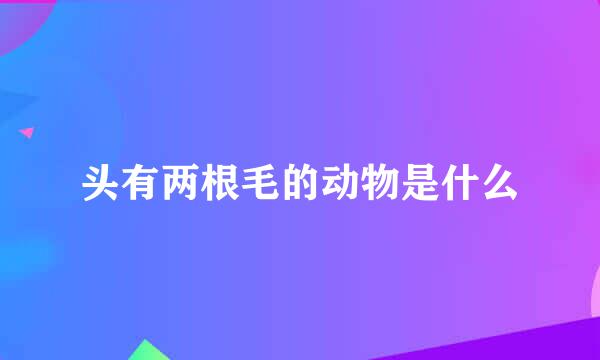 头有两根毛的动物是什么