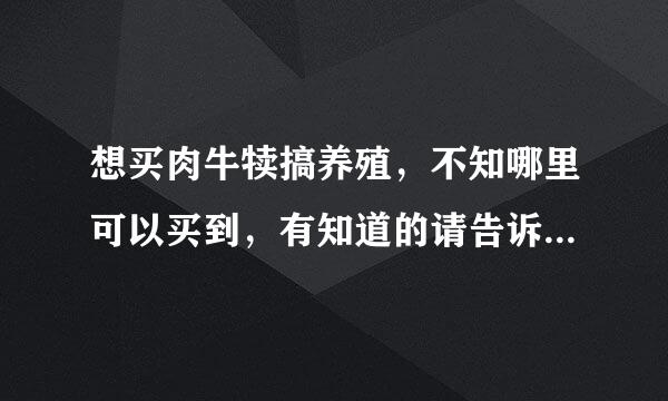 想买肉牛犊搞养殖，不知哪里可以买到，有知道的请告诉，听说山东济宁的卖牛羊信息都是骗人的，有人知道吗