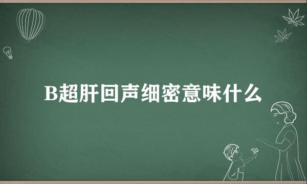 B超肝回声细密意味什么