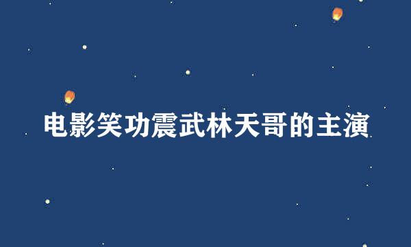 电影笑功震武林天哥的主演