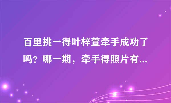 百里挑一得叶梓萱牵手成功了吗？哪一期，牵手得照片有吗？是吴彦堃吗？