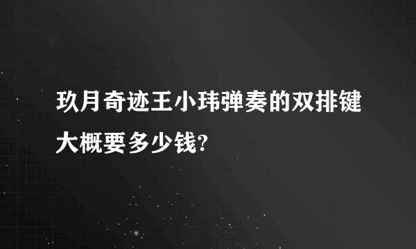 玖月奇迹王小玮弹奏的双排键大概要多少钱?