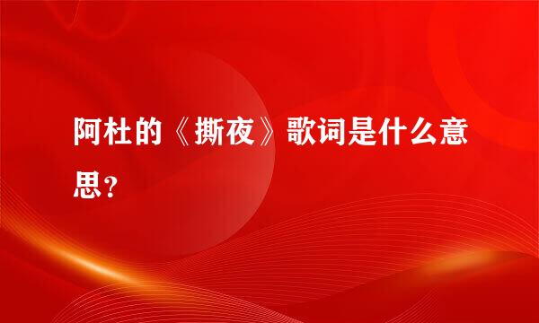 阿杜的《撕夜》歌词是什么意思？