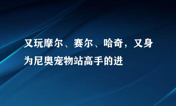 又玩摩尔、赛尔、哈奇，又身为尼奥宠物站高手的进