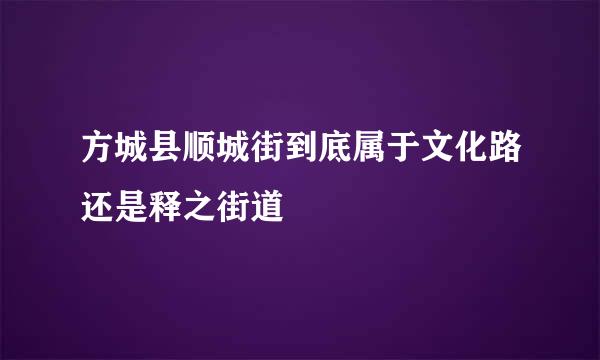 方城县顺城街到底属于文化路还是释之街道