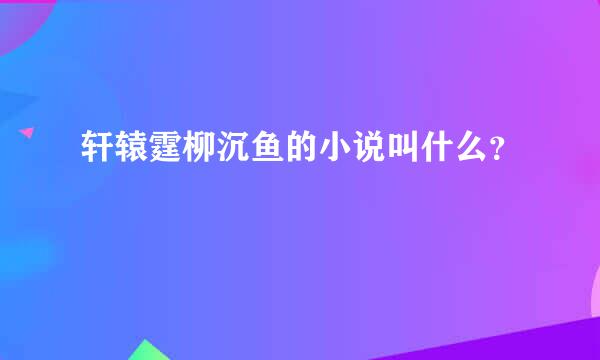 轩辕霆柳沉鱼的小说叫什么？