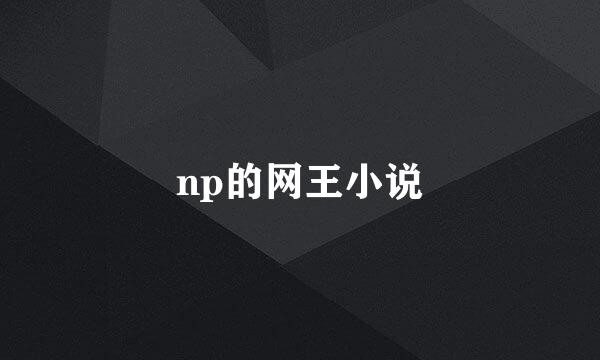 np的网王小说